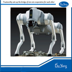 Doryang AI Go2 Dog - Chinese Technology